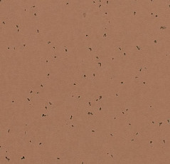 Линолеум Forbo Sphera Energetic 50225 masala фото 1 | FLOORDEALER